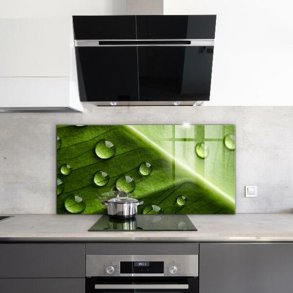 Paneles de pared Hoja con gotas de rocío de la mañana