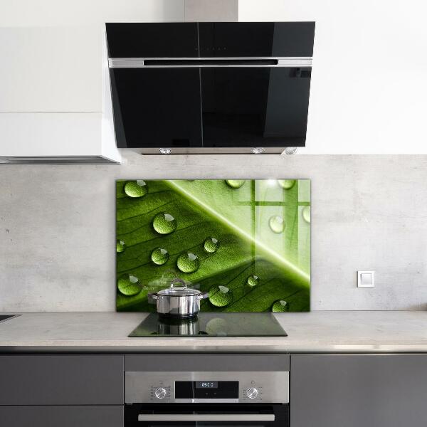 Paneles de pared Hoja con gotas de rocío de la mañana