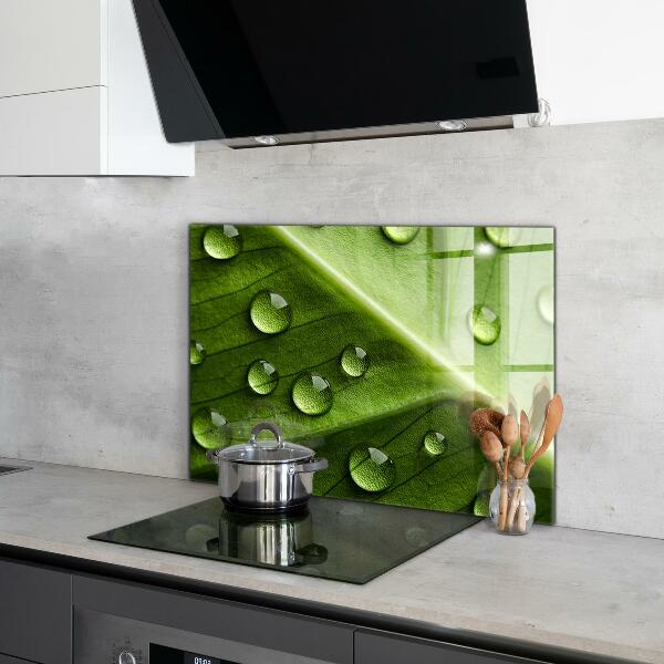 Paneles de pared Hoja con gotas de rocío de la mañana