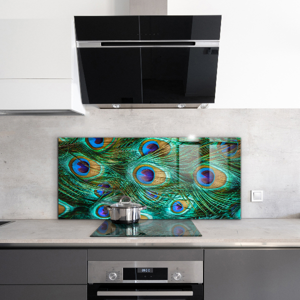 Paneles de vidrio para la cocina Plumas de pavo real hermosa naturaleza
