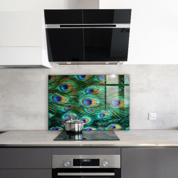 Paneles de vidrio para la cocina Plumas de pavo real hermosa naturaleza