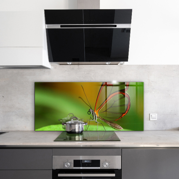 Paneles de pared Mariposa en una hoja