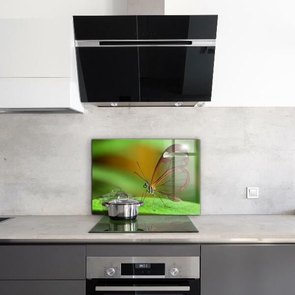 Paneles de pared Mariposa en una hoja