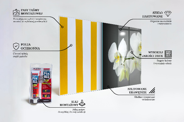 Paneles de pared Orquídea blanca sobre fondo negro