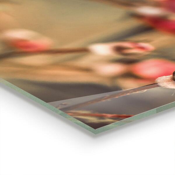 Paneles de pared Rosa salvaje en el parque