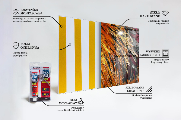 Paneles de vidrio para la cocina Plumas de aves coloridas