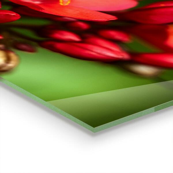 Paneles de pared Capullos de flores en flor