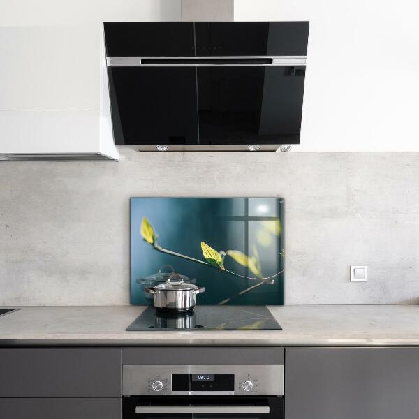 Paneles de pared Hoja brillante en rama