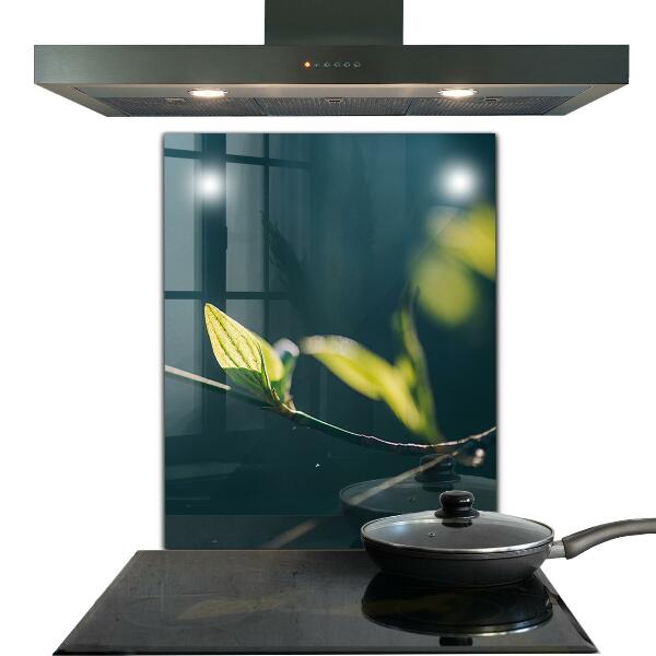 Paneles de pared Hoja brillante en rama