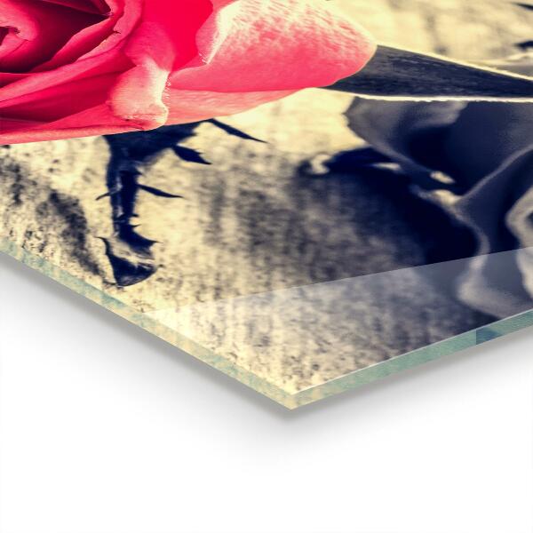 Paneles de pared Rosa símbolo del amor