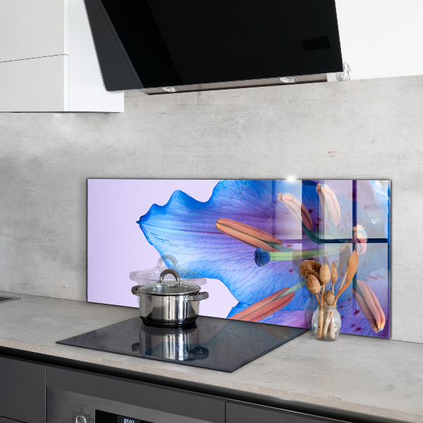 Paneles de pared Hermoso lirio azul