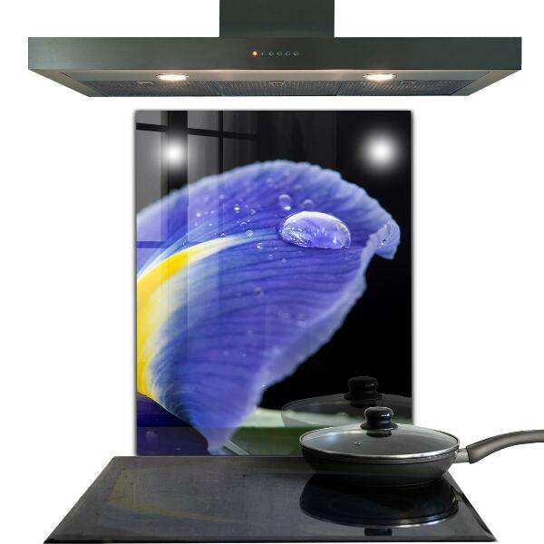 Paneles de pared Flor de iris púrpura