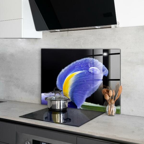 Paneles de pared Flor de iris púrpura