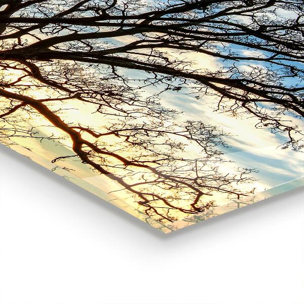 Paneles de pared Prado del paisaje por la mañana