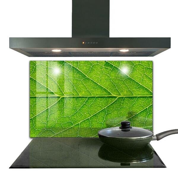 Paneles de pared Detalles delicados de las hojas