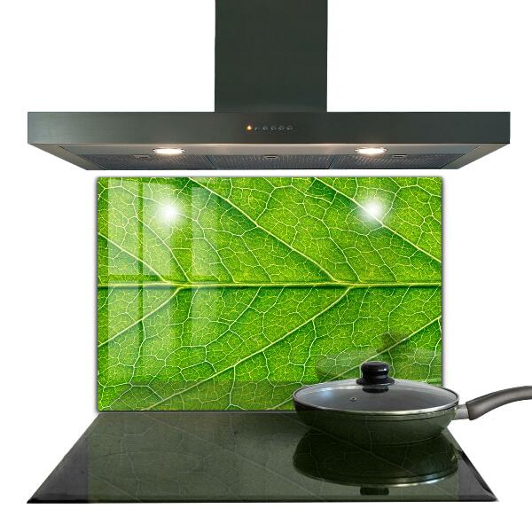 Paneles de pared Detalles delicados de las hojas