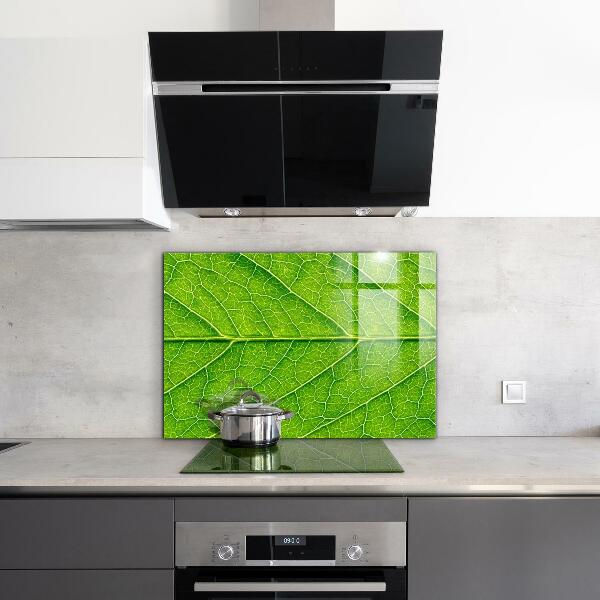 Paneles de pared Detalles delicados de las hojas