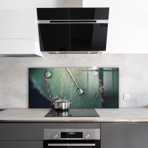 Paneles de pared Hoja con una gota de rocío