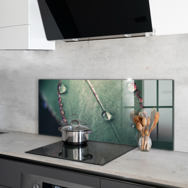 Paneles de pared Hoja con una gota de rocío