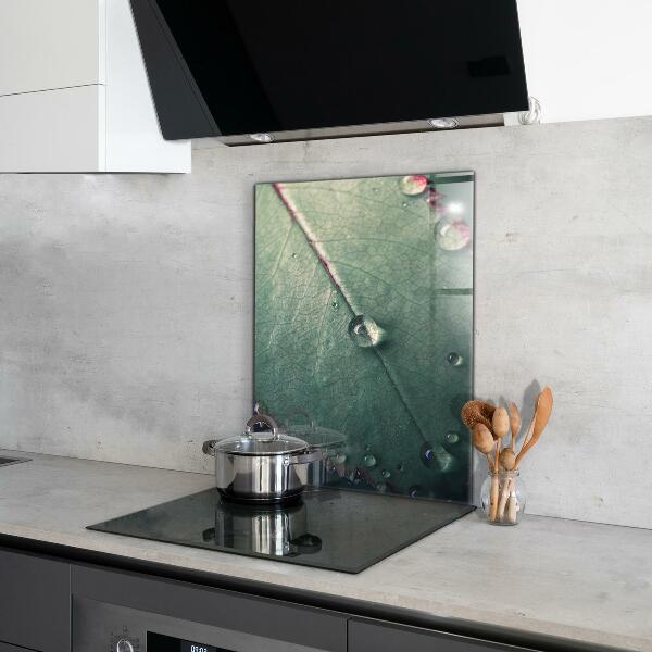 Paneles de pared Hoja con una gota de rocío