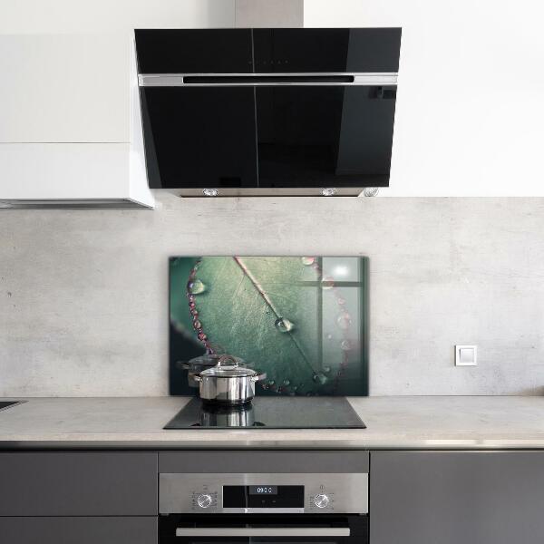 Paneles de pared Hoja con una gota de rocío