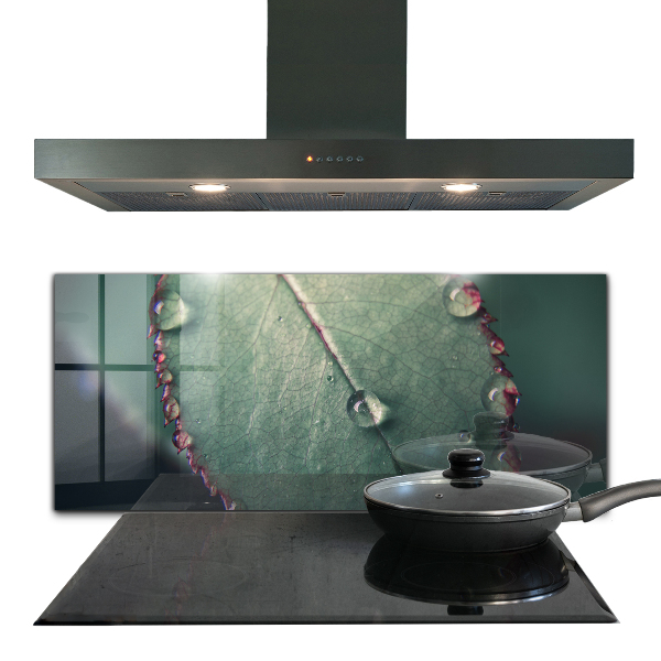 Paneles de pared Hoja con una gota de rocío