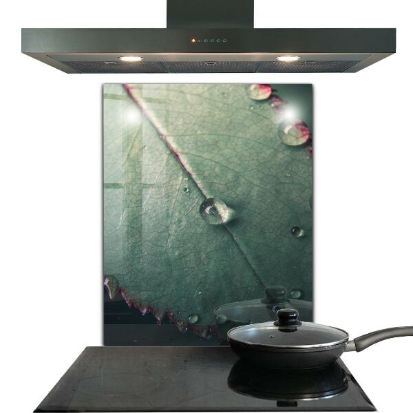 Paneles de pared Hoja con una gota de rocío