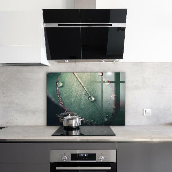 Paneles de pared Hoja con una gota de rocío