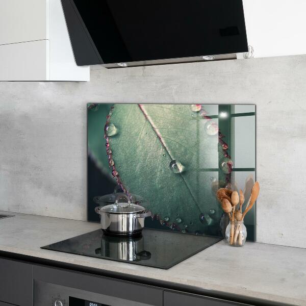 Paneles de pared Hoja con una gota de rocío