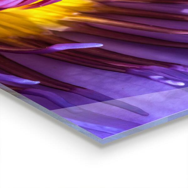 Paneles de vidrio para la cocina Detalles de la flor morada