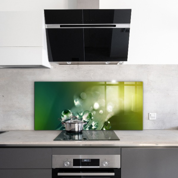 Paneles de vidrio para la cocina Rocío sobre hojas verdes