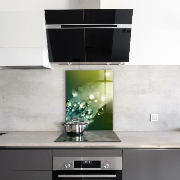 Paneles de vidrio para la cocina Rocío sobre hojas verdes