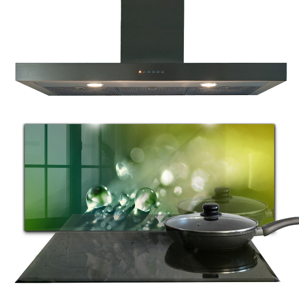 Paneles de vidrio para la cocina Rocío sobre hojas verdes