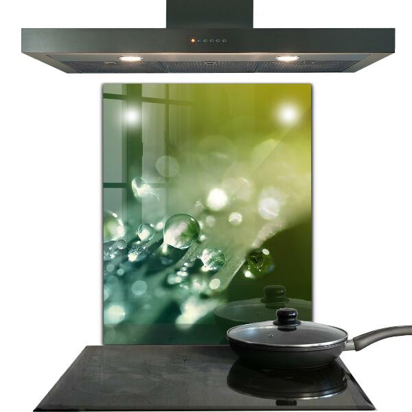 Paneles de vidrio para la cocina Rocío sobre hojas verdes