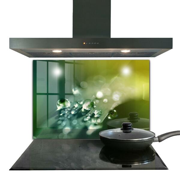 Paneles de vidrio para la cocina Rocío sobre hojas verdes