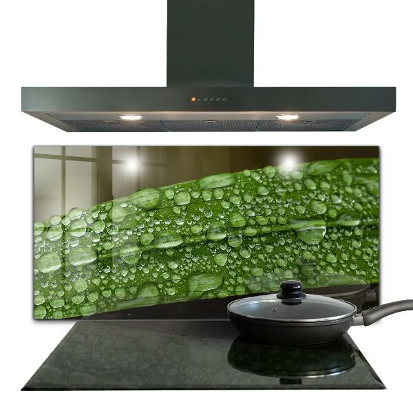 Paneles de vidrio para la cocina Hoja verde después de la lluvia