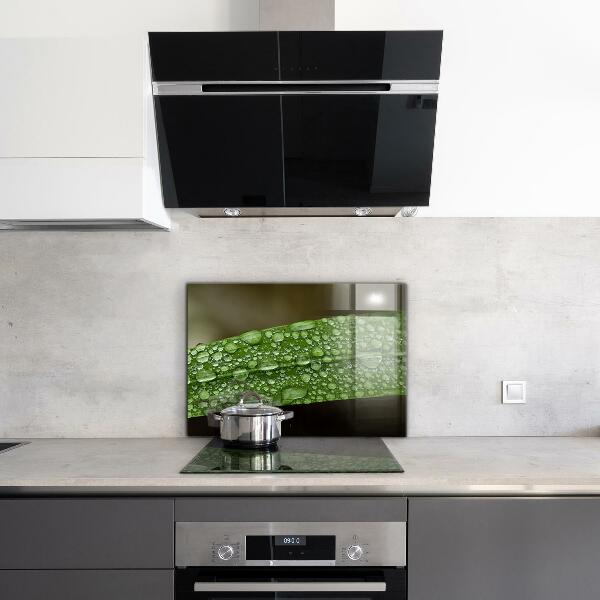 Paneles de vidrio para la cocina Hoja verde después de la lluvia