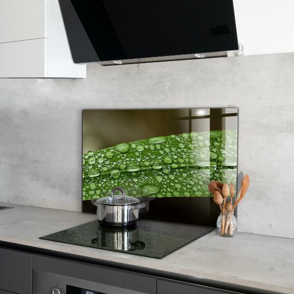Paneles de vidrio para la cocina Hoja verde después de la lluvia