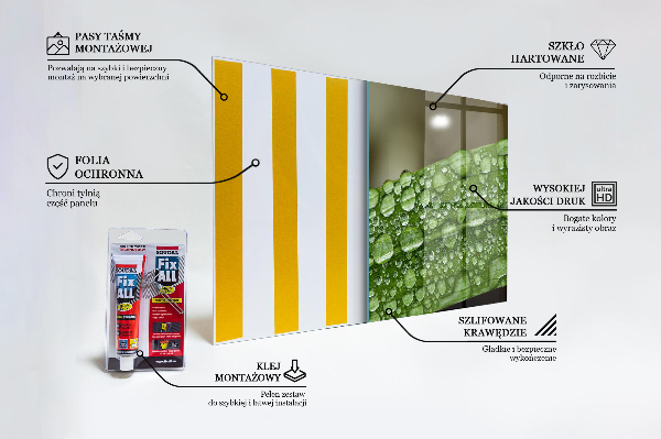 Paneles de vidrio para la cocina Hoja verde después de la lluvia