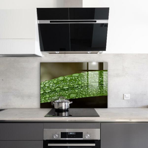Paneles de vidrio para la cocina Hoja verde después de la lluvia