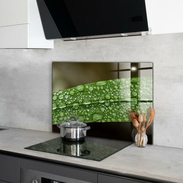 Paneles de vidrio para la cocina Hoja verde después de la lluvia
