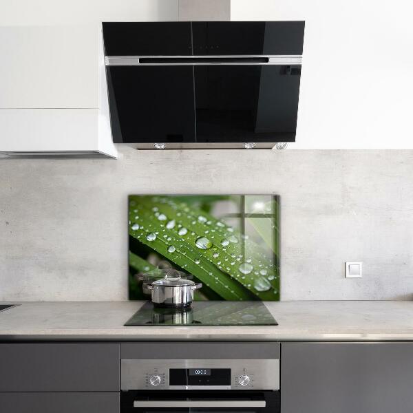 Paneles de vidrio para la cocina Gotas de rocío sobre la hierba