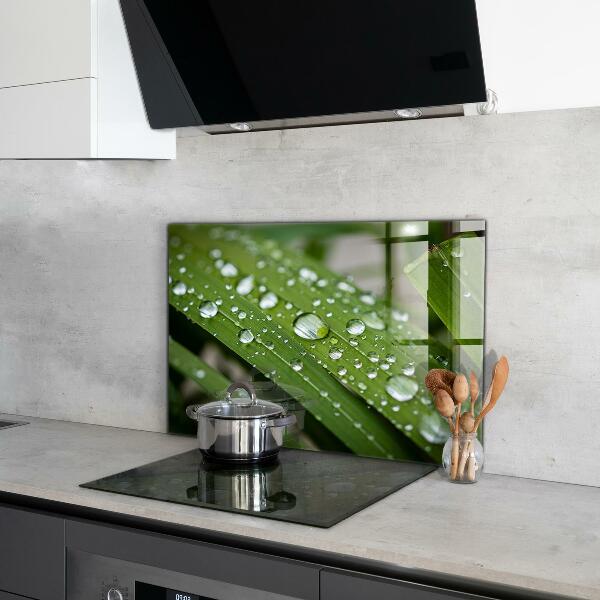Paneles de vidrio para la cocina Gotas de rocío sobre la hierba