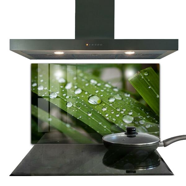 Paneles de vidrio para la cocina Gotas de rocío sobre la hierba