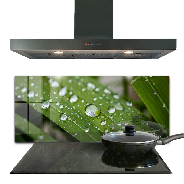 Paneles de vidrio para la cocina Gotas de rocío sobre la hierba