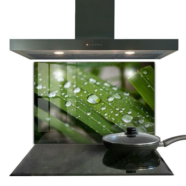 Paneles de vidrio para la cocina Gotas de rocío sobre la hierba