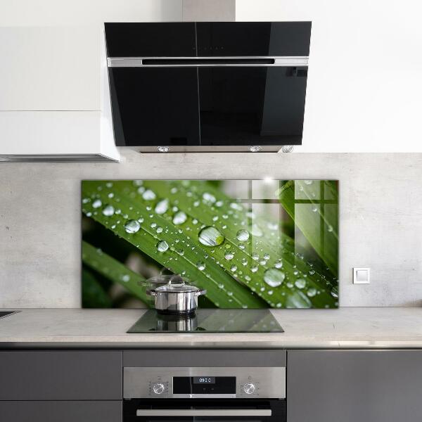 Paneles de vidrio para la cocina Gotas de rocío sobre la hierba