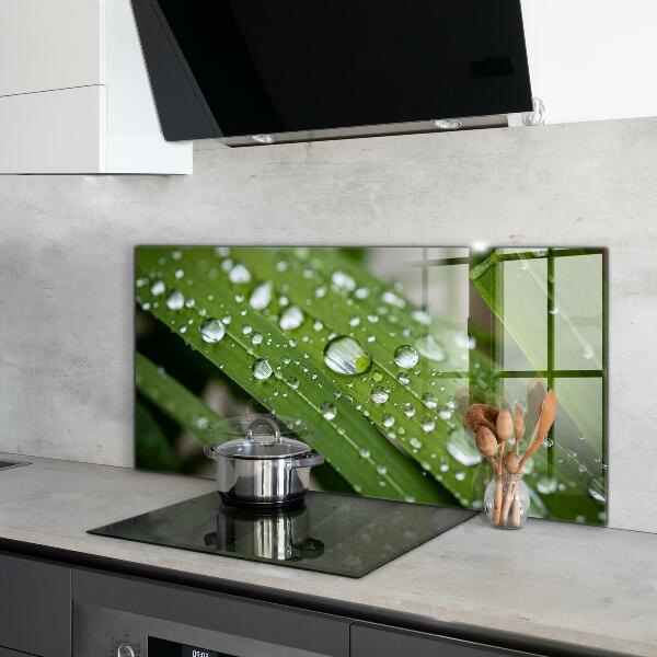 Paneles de vidrio para la cocina Gotas de rocío sobre la hierba