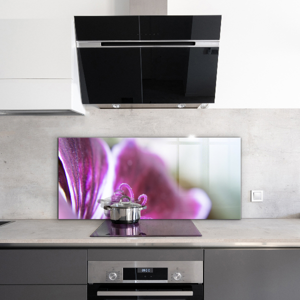 Paneles de vidrio para la cocina Detalles de la naturaleza de la flor rosa