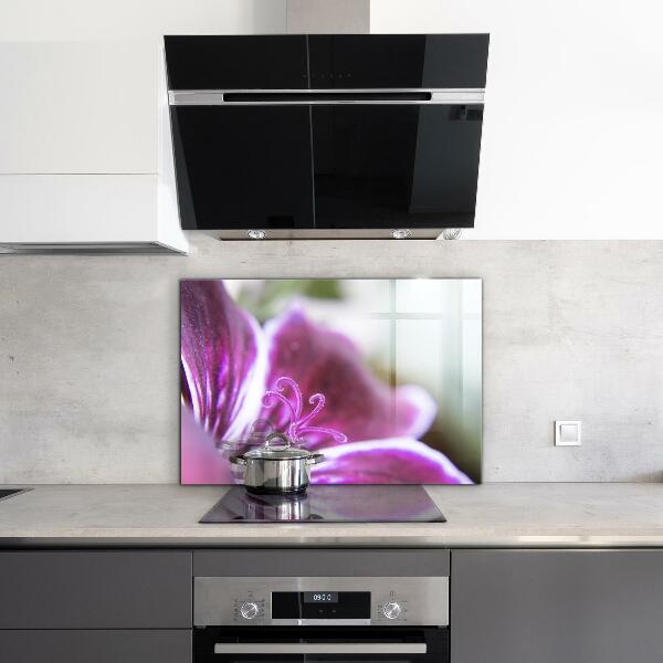 Paneles de vidrio para la cocina Detalles de la naturaleza de la flor rosa